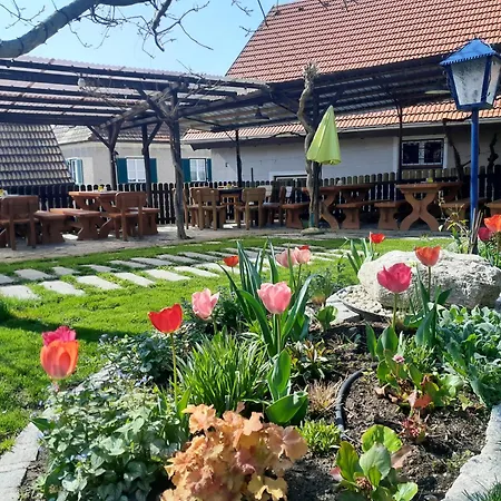 Mein Wein Krems an der Donau